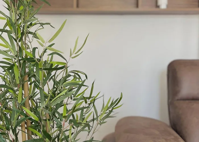 شقة Dalori Comfort زادار