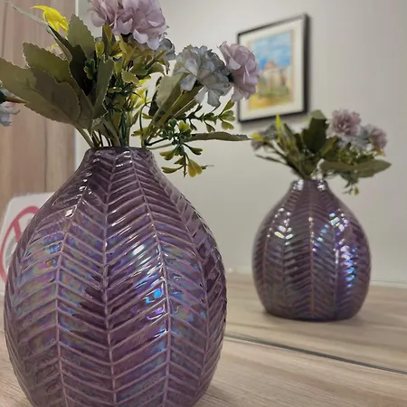 Dalori Comfort 아파트 자다르